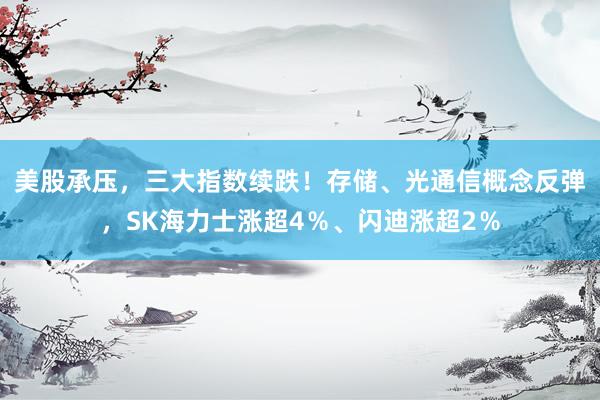美股承压，三大指数续跌！存储、光通信概念反弹，SK海力士涨超4％、闪迪涨超2％