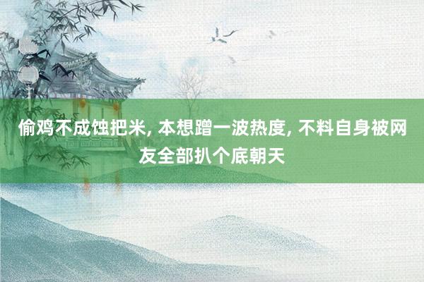 偷鸡不成蚀把米, 本想蹭一波热度, 不料自身被网友全部扒个底朝天