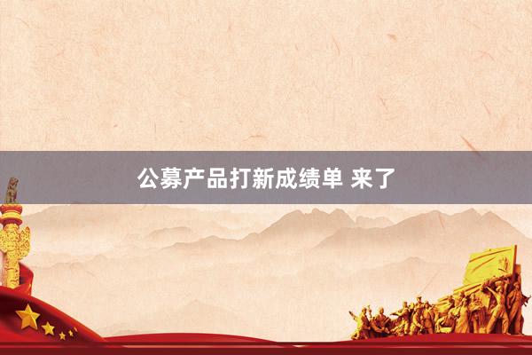 公募产品打新成绩单 来了