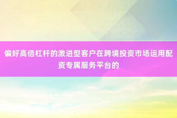 偏好高倍杠杆的激进型客户在跨境投资市场运用配资专属服务平台的