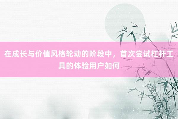 在成长与价值风格轮动的阶段中，首次尝试杠杆工具的体验用户如何