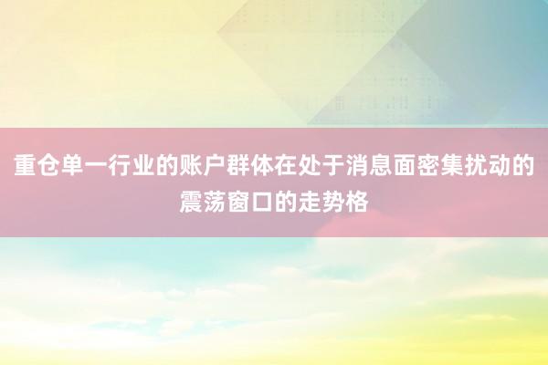 重仓单一行业的账户群体在处于消息面密集扰动的震荡窗口的走势格