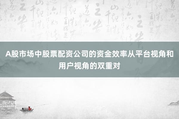 A股市场中股票配资公司的资金效率从平台视角和用户视角的双重对