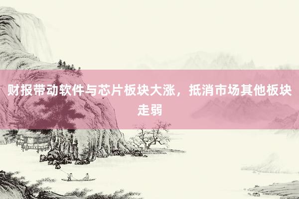 财报带动软件与芯片板块大涨，抵消市场其他板块走弱