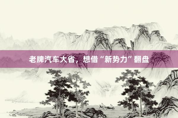 老牌汽车大省，想借“新势力”翻盘