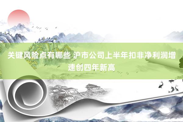 关键风险点有哪些 沪市公司上半年扣非净利润增速创四年新高
