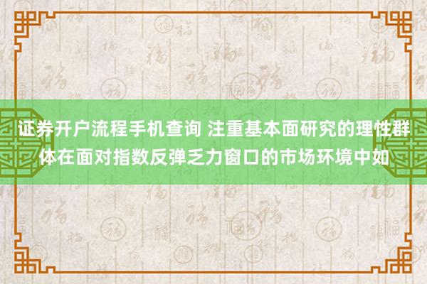 证券开户流程手机查询 注重基本面研究的理性群体在面对指数反弹乏力窗口的市场环境中如