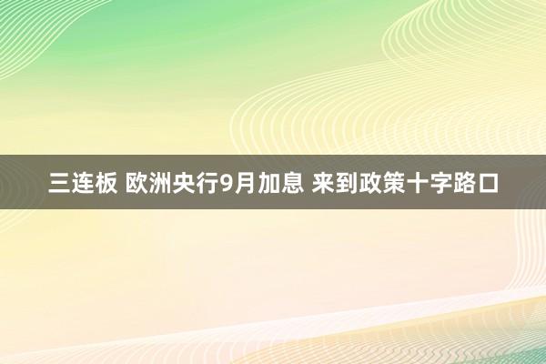 三连板 欧洲央行9月加息 来到政策十字路口