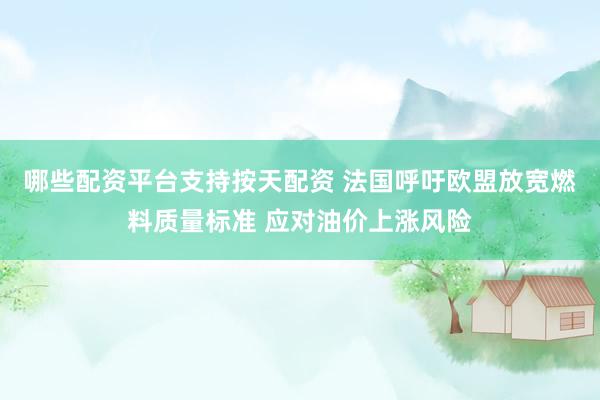 哪些配资平台支持按天配资 法国呼吁欧盟放宽燃料质量标准 应对油价上涨风险