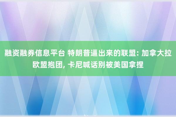 融资融券信息平台 特朗普逼出来的联盟: 加拿大拉欧盟抱团, 卡尼喊话别被美国拿捏