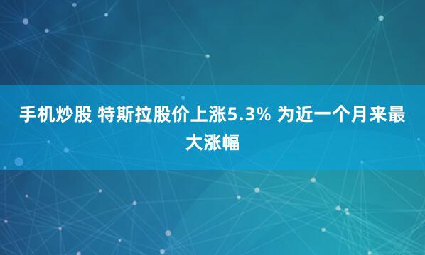 手机炒股 特斯拉股价上涨5.3% 为近一个月来最大涨幅
