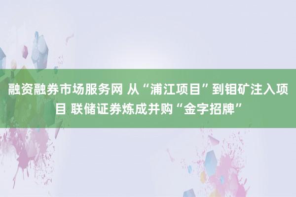 融资融券市场服务网 从“浦江项目”到钼矿注入项目 联储证券炼成并购“金字招牌”
